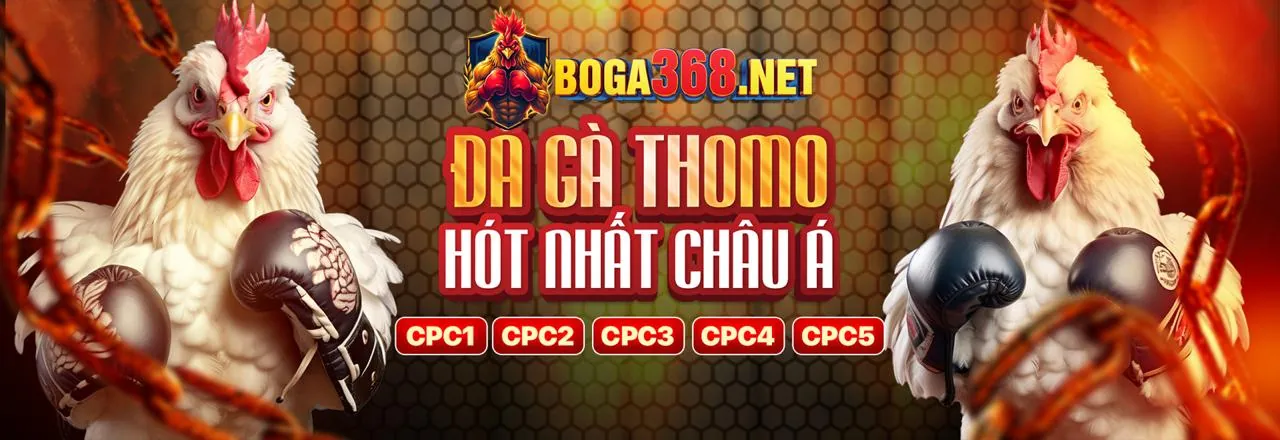 Trung tâm hỗ trợ bong90 link chuyên nghiệp